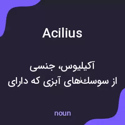 معنی acilius به فارسی معنی acilius به فارسی