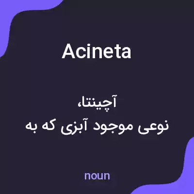 معنی acineta به فارسی معنی acineta به فارسی