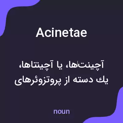 معنی acinetae به فارسی معنی acinetae به فارسی