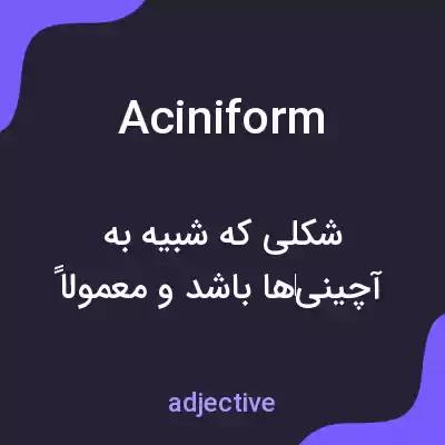 معنی aciniform به فارسی معنی aciniform به فارسی