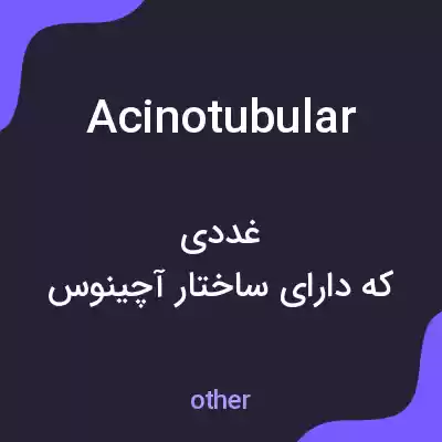 معنی acinotubular به فارسی معنی acinotubular به فارسی