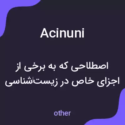 معنی acinuni به فارسی معنی acinuni به فارسی