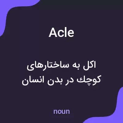 معنی acle به فارسی معنی acle به فارسی