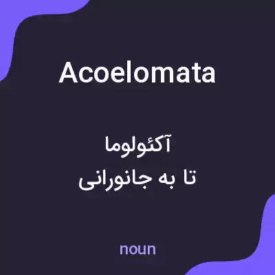 معنی acoelomata به فارسی معنی acoelomata به فارسی