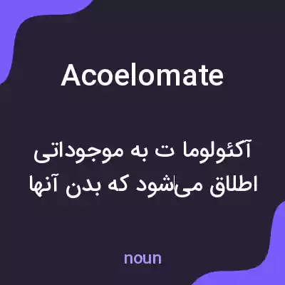 معنی acoelomate به فارسی