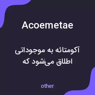 معنی acoemetae به فارسی معنی acoemetae به فارسی