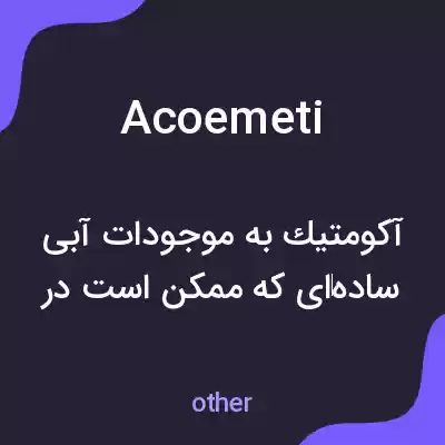 معنی acoemeti به فارسی معنی acoemeti به فارسی