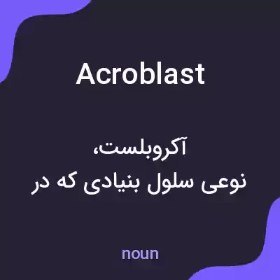 معنی acroblast به فارسی معنی acroblast به فارسی