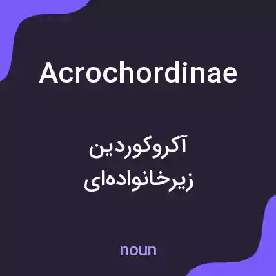 معنی acrochordinae به فارسی معنی acrochordinae به فارسی