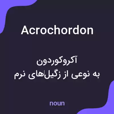 معنی acrochordon به فارسی معنی acrochordon به فارسی