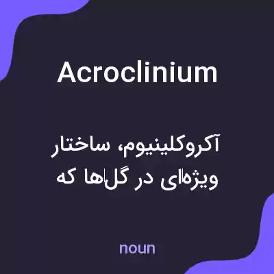 معنی acroclinium به فارسی معنی acroclinium به فارسی