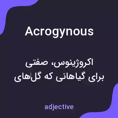 معنی acrogynous به فارسی