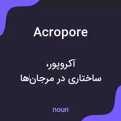 معنی acropore به فارسی معنی acropore به فارسی