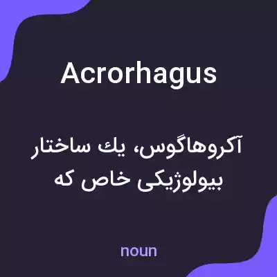 معنی acrorhagus به فارسی معنی acrorhagus به فارسی