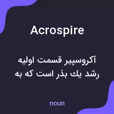 معنی acrospire به فارسی معنی acrospire به فارسی