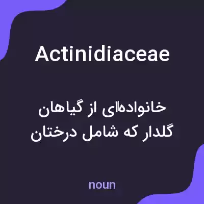 معنی actinidiaceae به فارسی معنی actinidiaceae به فارسی