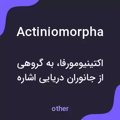 معنی actiniomorpha به فارسی معنی actiniomorpha به فارسی