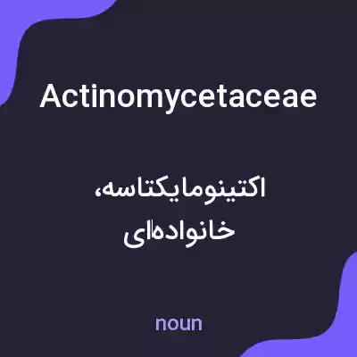 معنی actinomycetaceae به فارسی معنی actinomycetaceae به فارسی