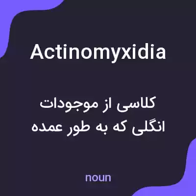 معنی actinomyxidia به فارسی معنی actinomyxidia به فارسی