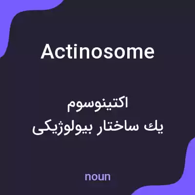معنی actinosome به فارسی معنی actinosome به فارسی