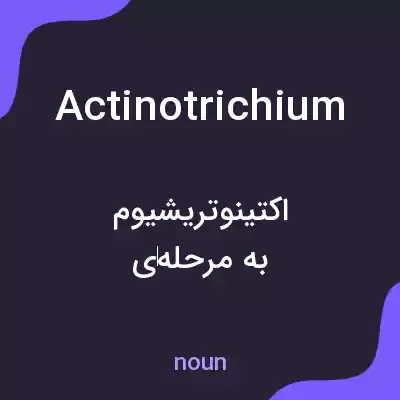 معنی actinotrichium به فارسی معنی actinotrichium به فارسی