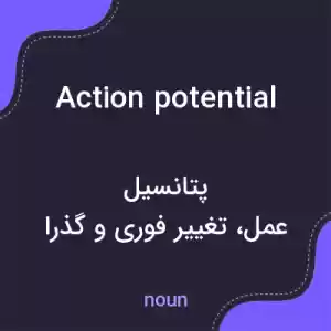 معنی action potential به فارسی معنی action potential به فارسی