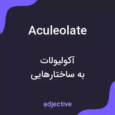 معنی aculeolate به فارسی