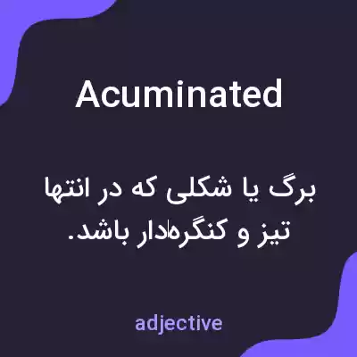 معنی acuminated به فارسی