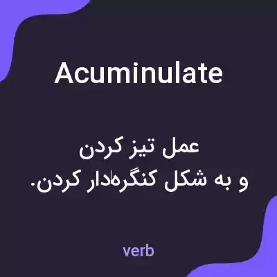 معنی acuminulate به فارسی