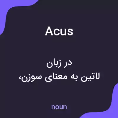 معنی acus به فارسی معنی acus به فارسی