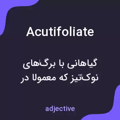 معنی acutifoliate به فارسی معنی acutifoliate به فارسی