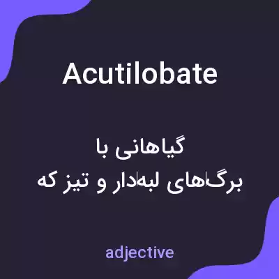 معنی acutilobate به فارسی معنی acutilobate به فارسی