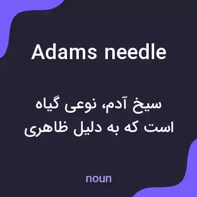 معنی adams needle به فارسی معنی adams needle به فارسی