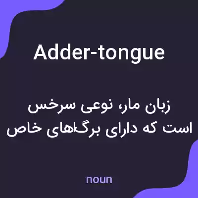 معنی adder-tongue به فارسی معنی adder-tongue به فارسی