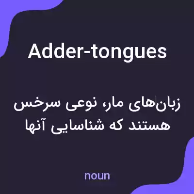 معنی adder-tongues به فارسی معنی adder-tongues به فارسی