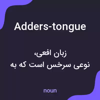 معنی adders-tongue به فارسی معنی adders-tongue به فارسی