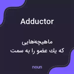 معنی adductor به فارسی معنی adductor به فارسی