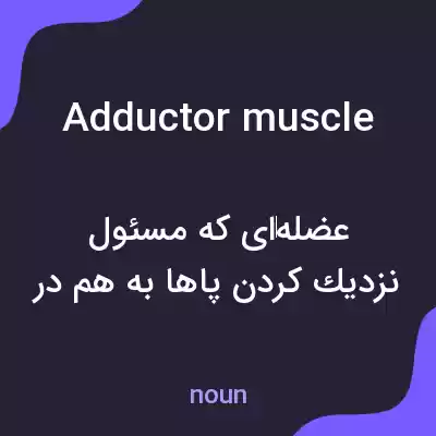 معنی adductor muscle به فارسی معنی adductor muscle به فارسی