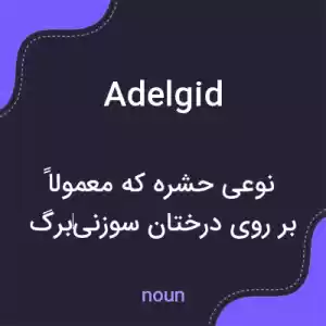 معنی adelgid به فارسی معنی adelgid به فارسی