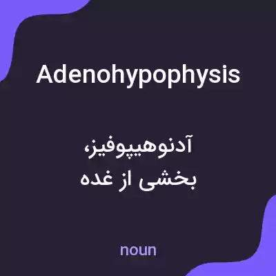 معنی adenohypophysis به فارسی معنی adenohypophysis به فارسی