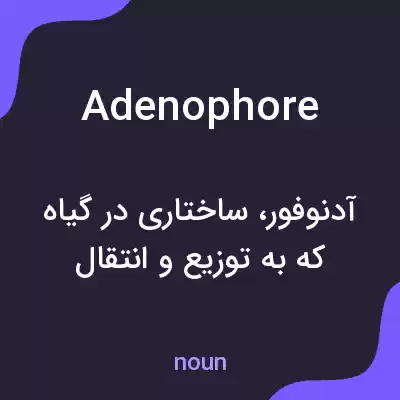 معنی adenophore به فارسی معنی adenophore به فارسی