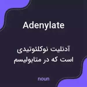 معنی adenylate به فارسی معنی adenylate به فارسی