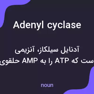 معنی adenyl cyclase به فارسی معنی adenyl cyclase به فارسی