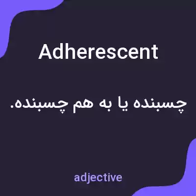 معنی adherescent به فارسی معنی adherescent به فارسی