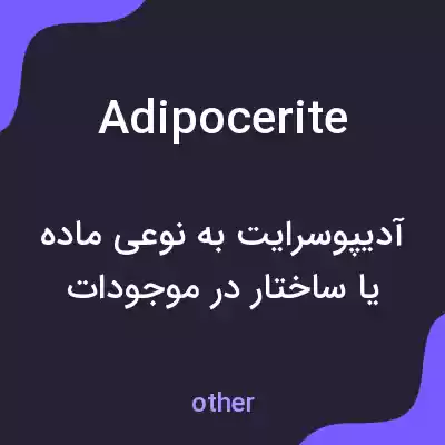 معنی adipocerite به فارسی معنی adipocerite به فارسی