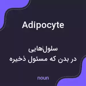 معنی adipocyte به فارسی معنی adipocyte به فارسی