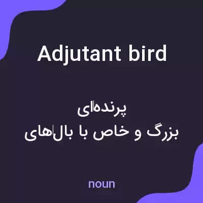 معنی adjutant bird به فارسی معنی adjutant bird به فارسی