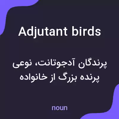 معنی adjutant birds به فارسی معنی adjutant birds به فارسی
