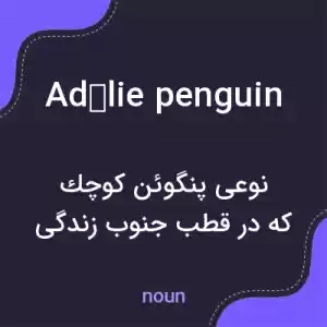 معنی adélie penguin به فارسی معنی adélie penguin به فارسی
