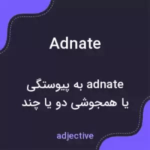 معنی adnate به فارسی معنی adnate به فارسی